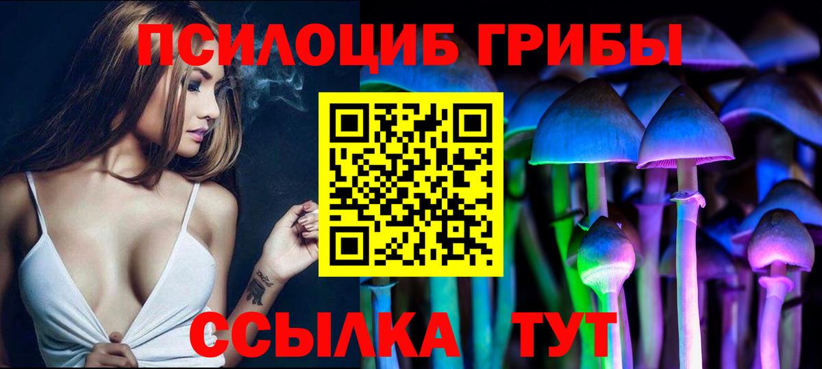 Псилоцибиновые грибы Psilocybe Джанкой